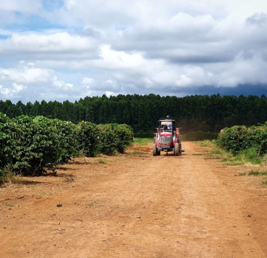 BRAZIL MATA DE MINAS PULPED NATURAL ROASTED